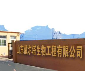 庆祝星空官方网站成立一周年：365天，淬炼蜕变辉煌！