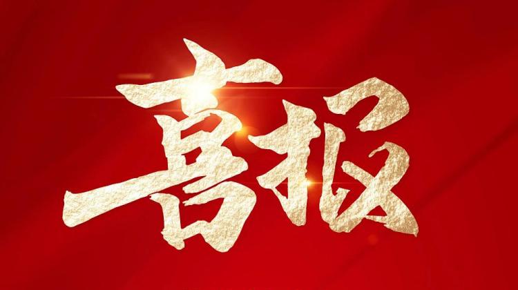 恭贺戴培强同志荣获“杰出工程师”荣誉称号